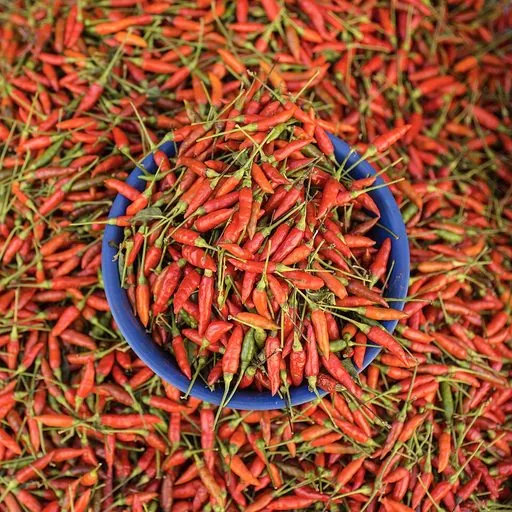 Piment