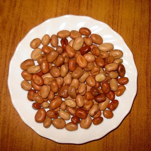 Fève sèche