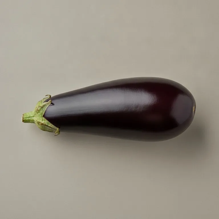 Aubergine