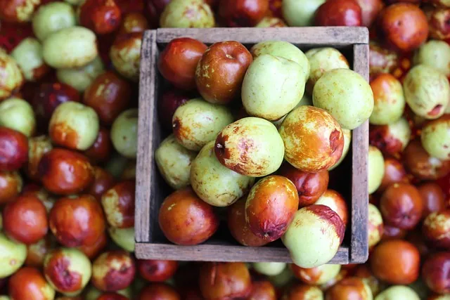 Jujube