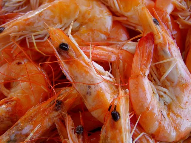 Langoustine