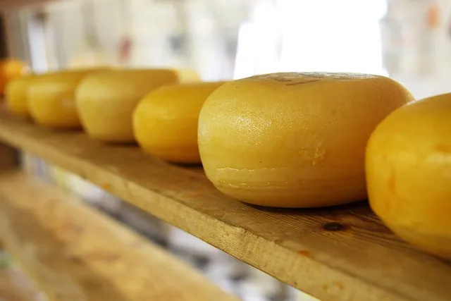 Provolone