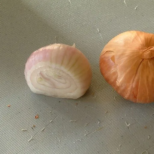 Échalote