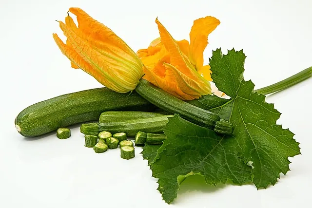 Fleur de courgette