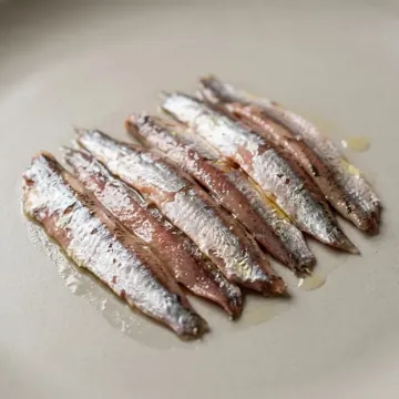 Anchois