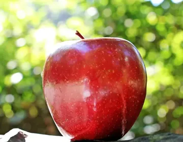 Pomme