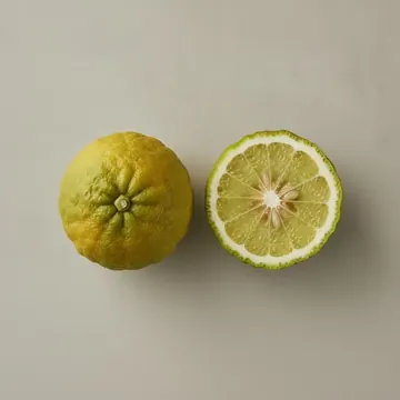 Bergamote