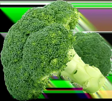 Brocoli