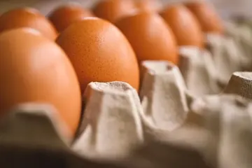 Œuf