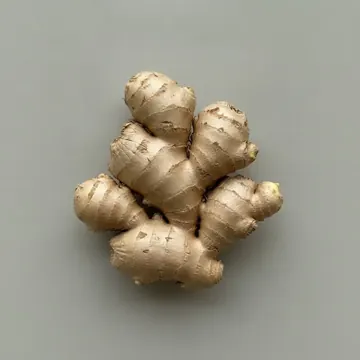Gingembre