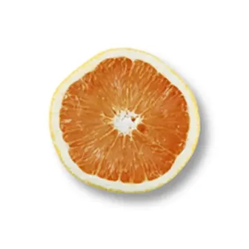 Pamplemousse