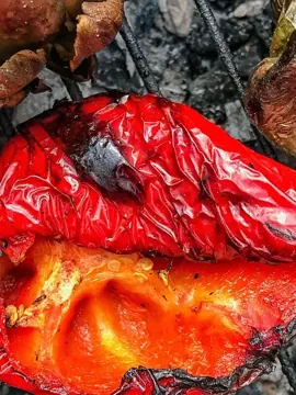 Poivron grillé