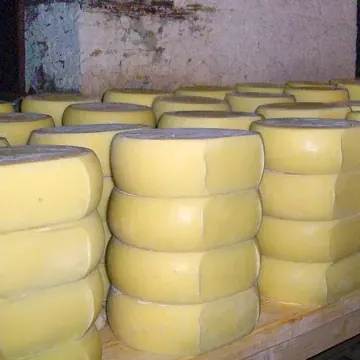 Kashkaval