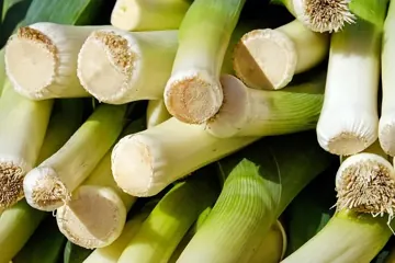 Poireau