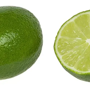 Citron vert