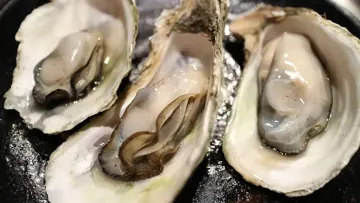 Huître