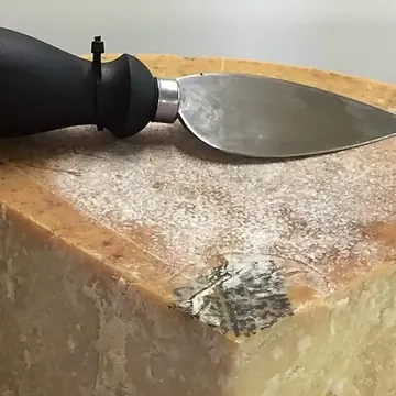 Parmesan