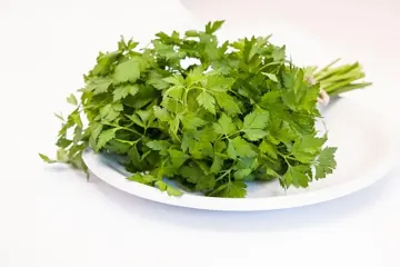 Persil plat