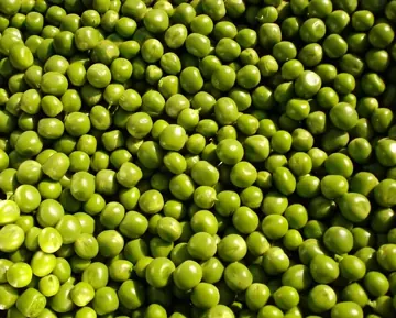Petit pois