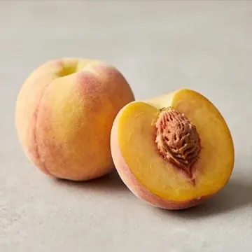 Pêche