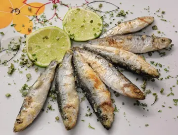 Sardine