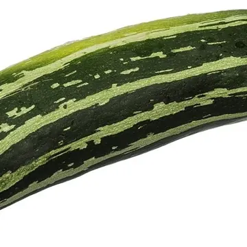 Courgette